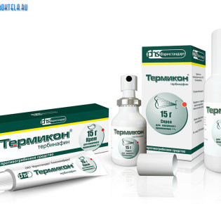 Термикон